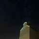 Illustration for article titled 17 Spectacular Photos of This Year's Ongoing Perseid Meteor Shower
